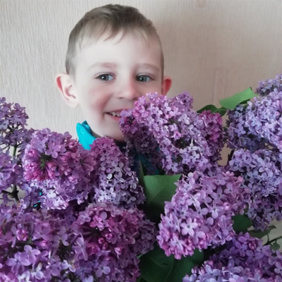 Денис Сайко, Білопілля