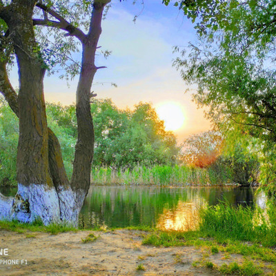 Ярослав Мельников