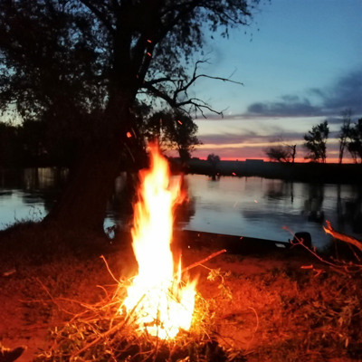 Тетяна Шведюк