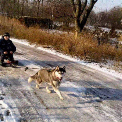 Богдан Сердюк