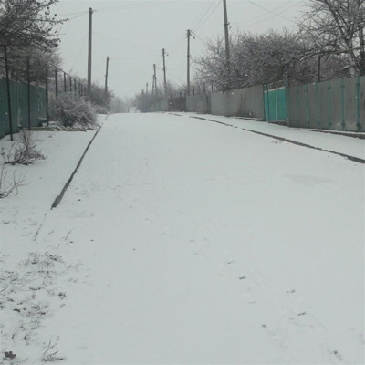 Вулиця 40 років Перемоги, село Новоолександрівка