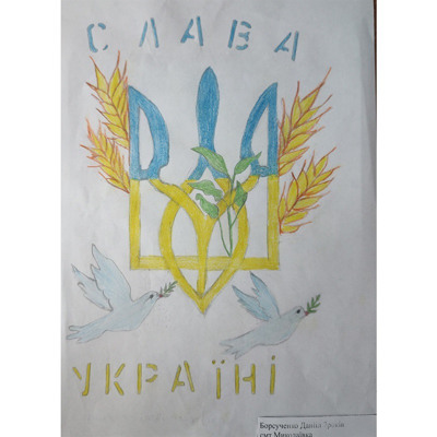 Борсученко Данііл, 7 років, смт Миколаївка