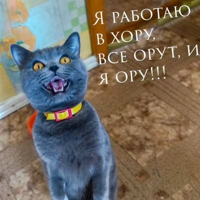 Жужа