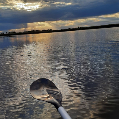 Ірина Швець