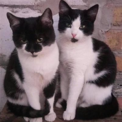 Льоша і Кузьма