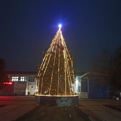 Ялинка у Лазурному 