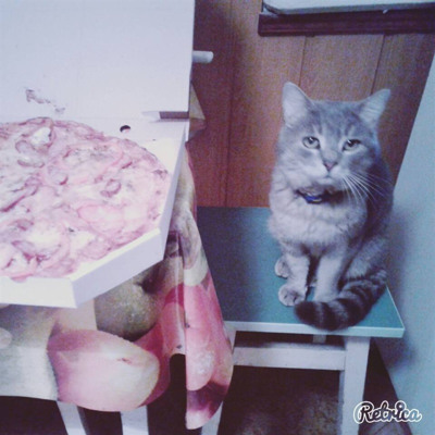 Боцман