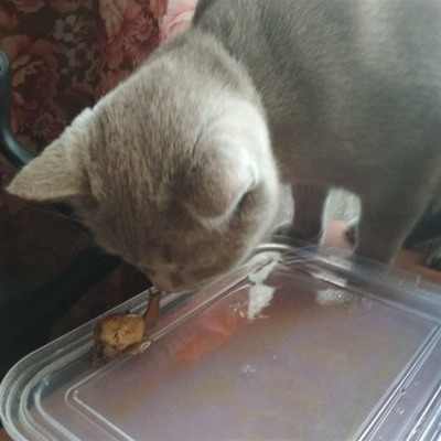 Томас, 3 роки та Геррі, 3 місяці, м.Білопілля