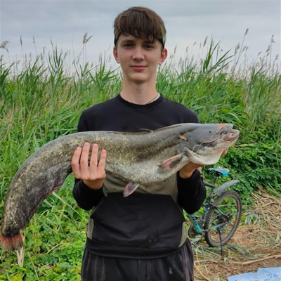 Михайло Підмазко 