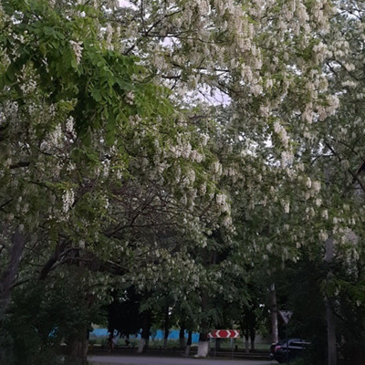 Оксана Морозова