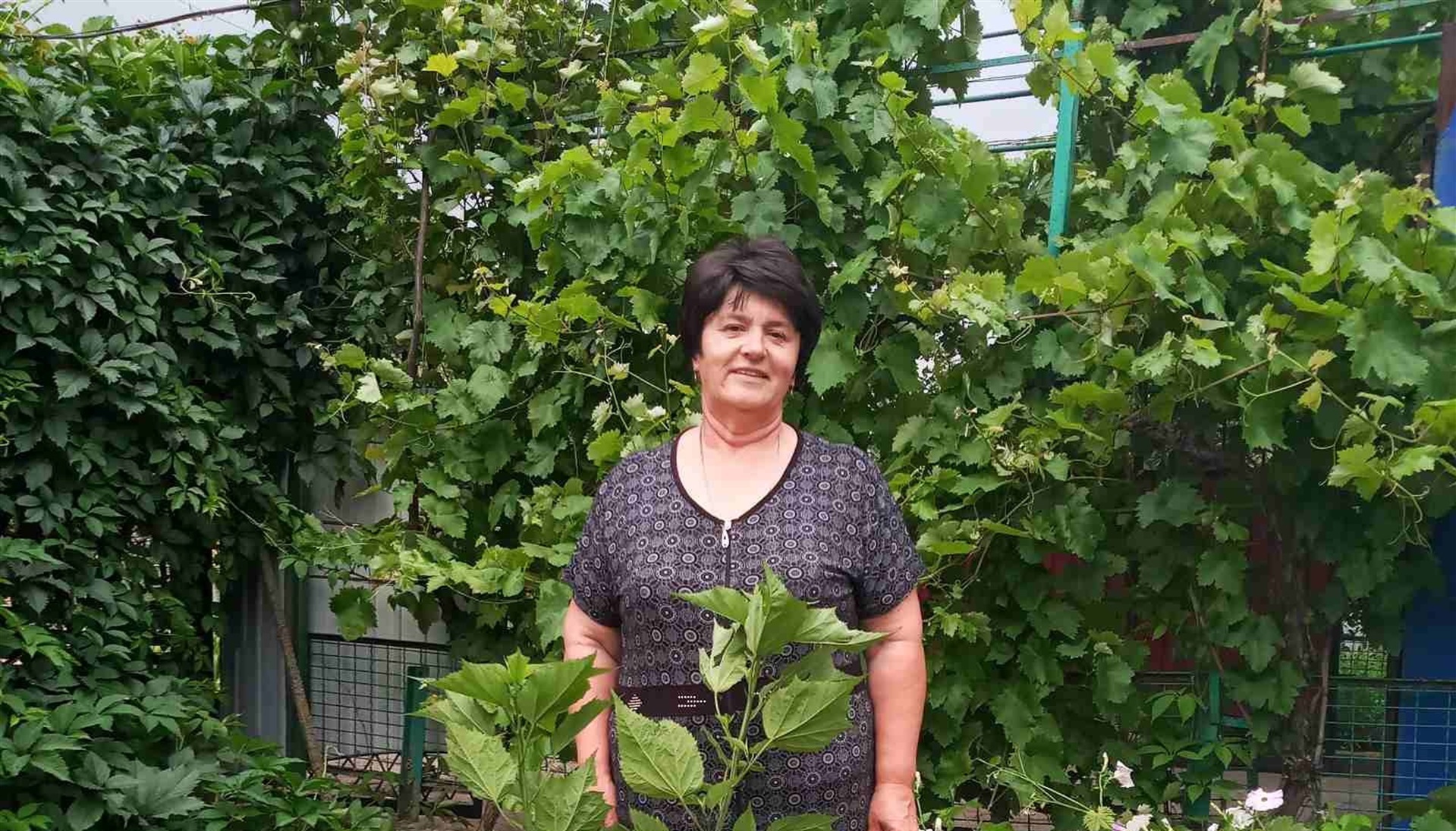 30 августа празднует юбилей НОСОВА Людмила Павловна. Поздравляем!