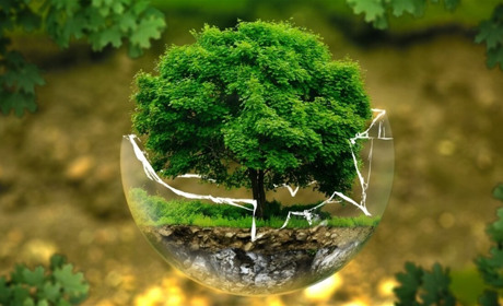 Еко-рулетка: ти грішиш проти природи чи вже рятуєш планету?