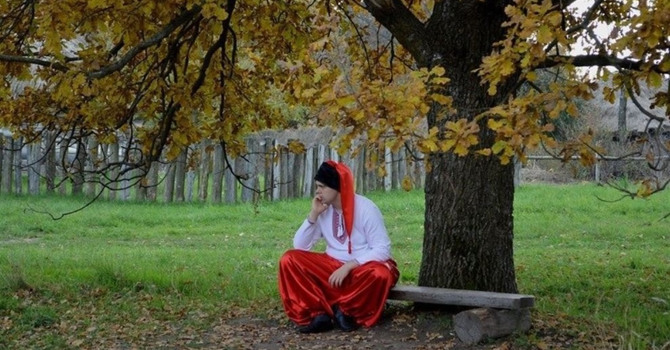 Калина чи малина? Тест, чи знаєш ти рослини-символи України