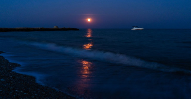 Тест: Як добре ви знаєте Чорне море?