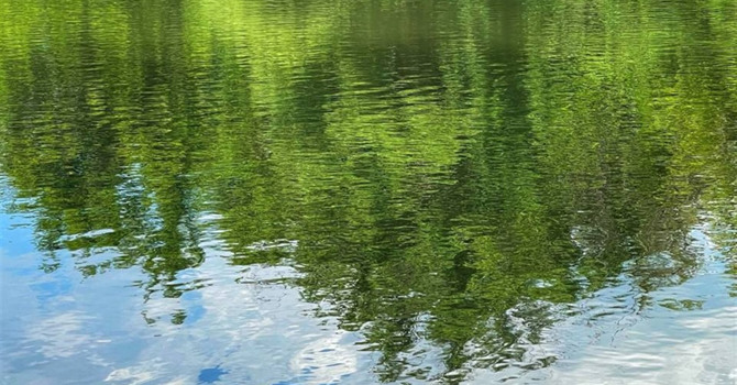 Я люблю Куп'янщину