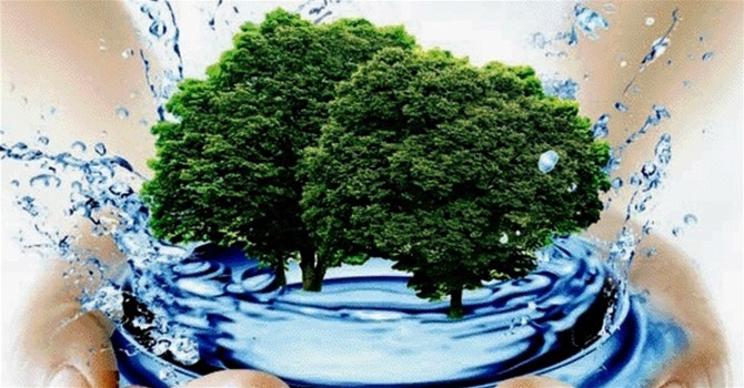 Герой сортування чи майстер хаосу