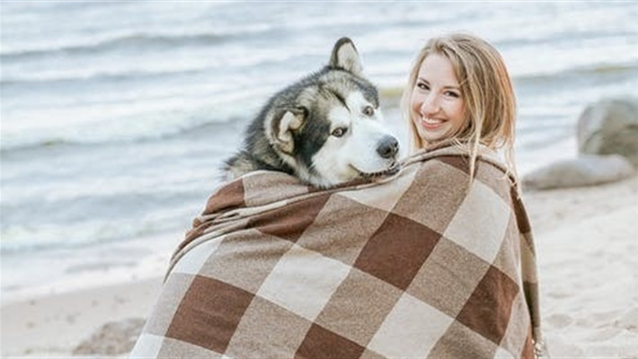 Як назвати собаку? Генератор нетипових імен