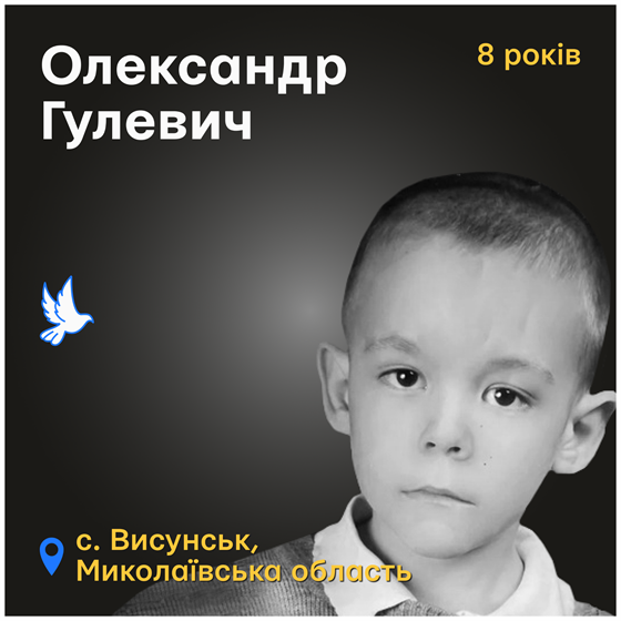 8-річний Сашко Гулевич загинув на Миколаївщині