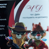 Чіп і Дейл , всі послуги ремонту У Знам'янці