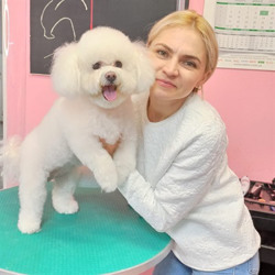 Послуги для тварин