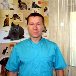 Послуги для тварин
