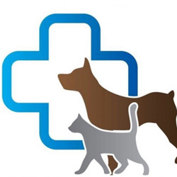 Послуги для тварин