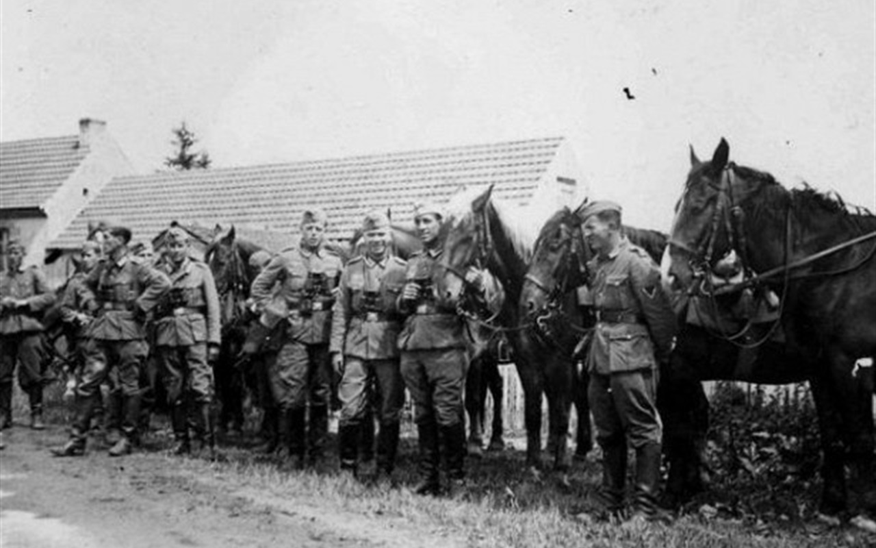 Чи добре ви знаєте історію окупації та визволення Нижньосірогозького району?