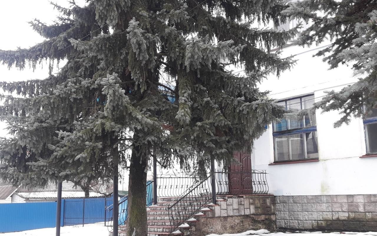 Тест «Впізнай Володимирець за фотографіями»