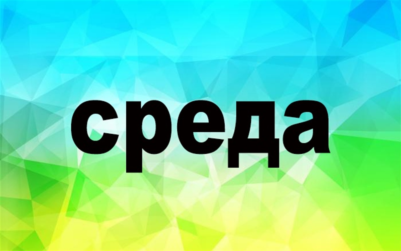 Насколько хорошо ты знаешь русский язык?