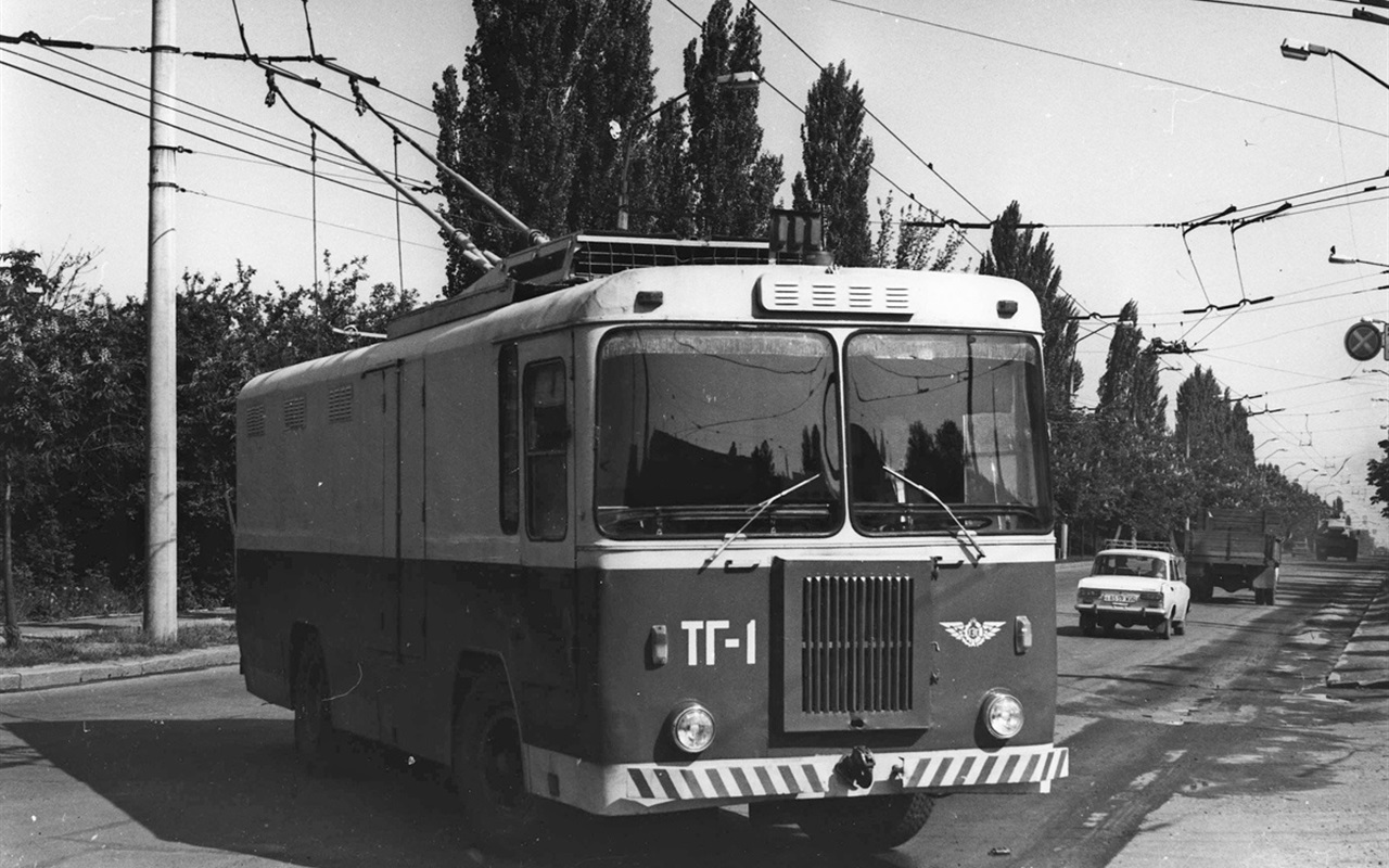 Правда чи ні? Цікаві факти про Новоград і район