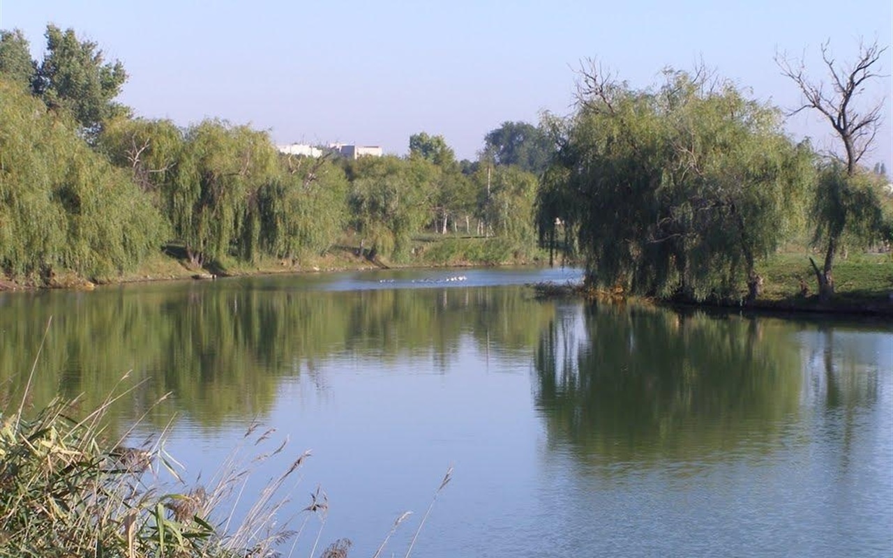 Чи такий вже всесильний депутат Верховної Ради
