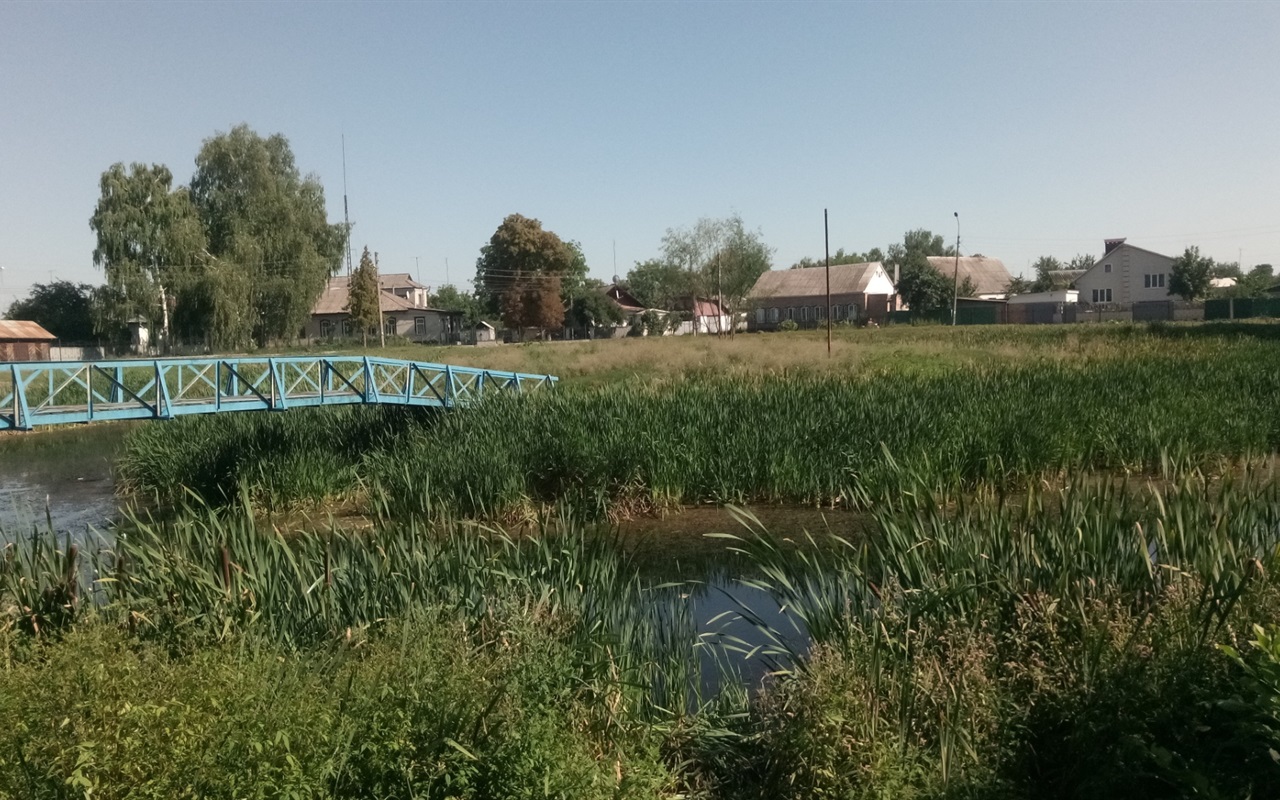 Дізнайтесь, наскільки ви ніжинець