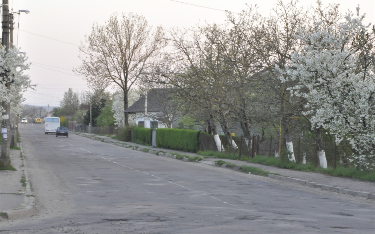 Перевір себе знову. Відгадай вулицю Калуша за фото