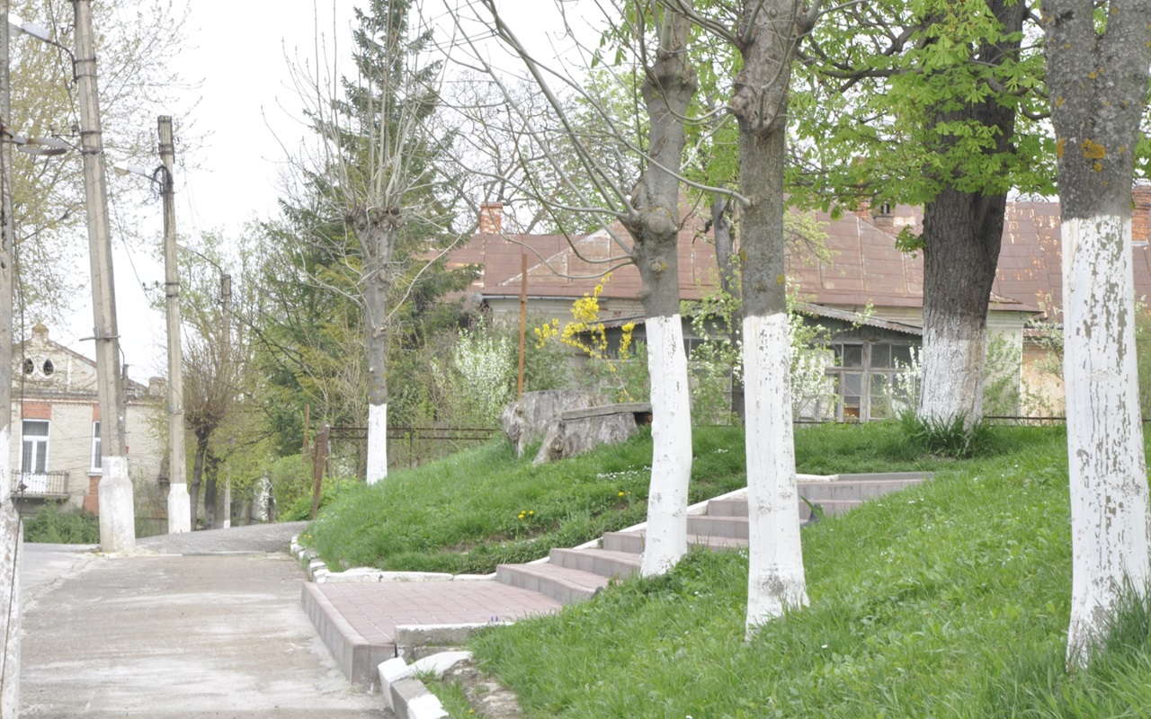 Перевір себе знову. Відгадай вулицю Калуша за фото