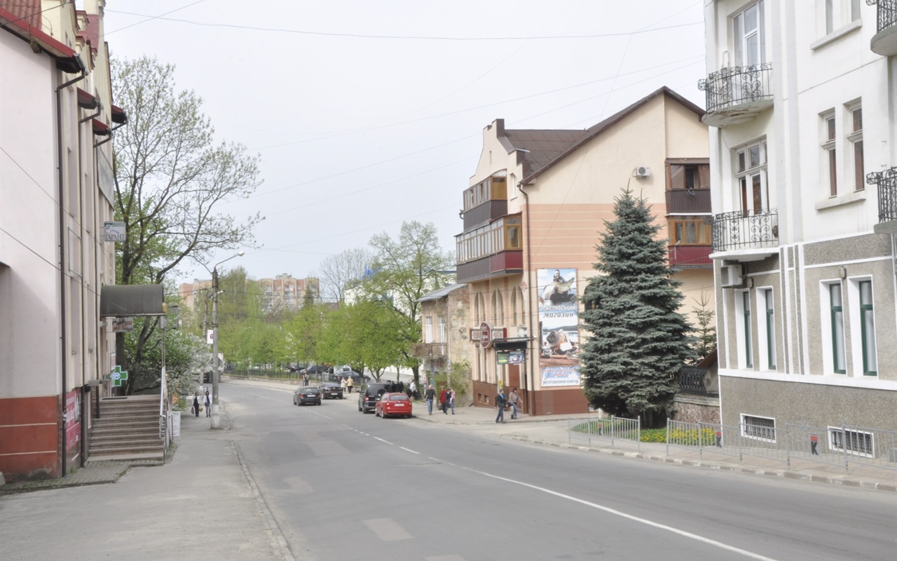 Перевір себе знову. Відгадай вулицю Калуша за фото