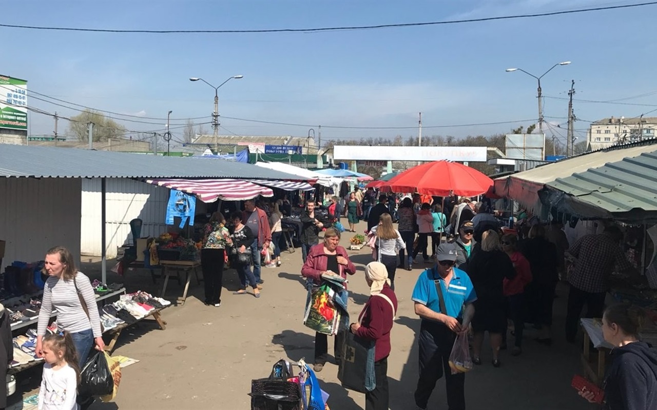 "Елементарно Ватсон": чи знаєте ви прості речі про Новоград