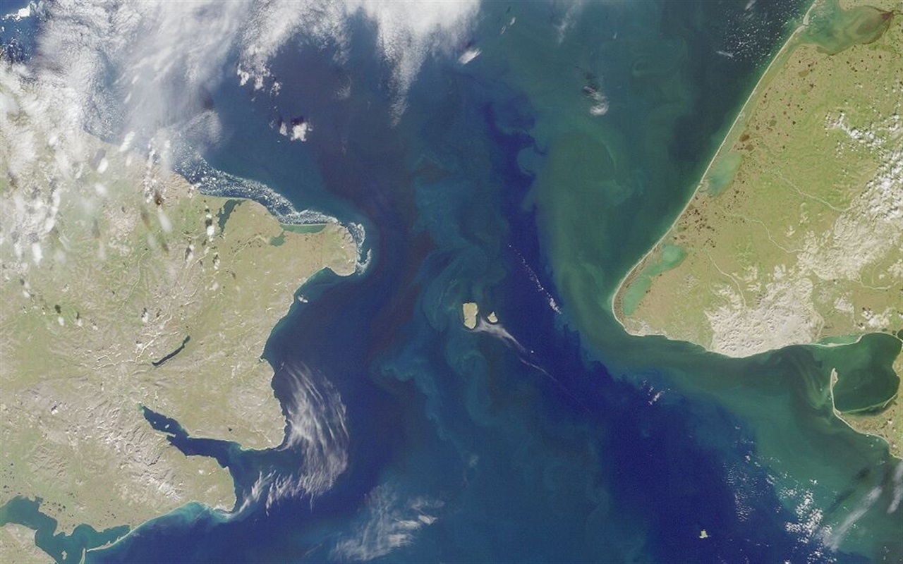 Тест. Вспомни географию: моря и океаны Земли