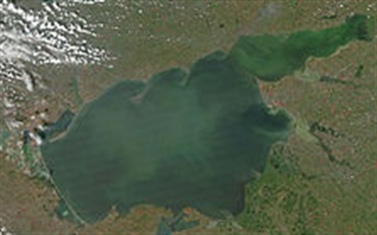 Тест. Вспомни географию: моря и океаны Земли