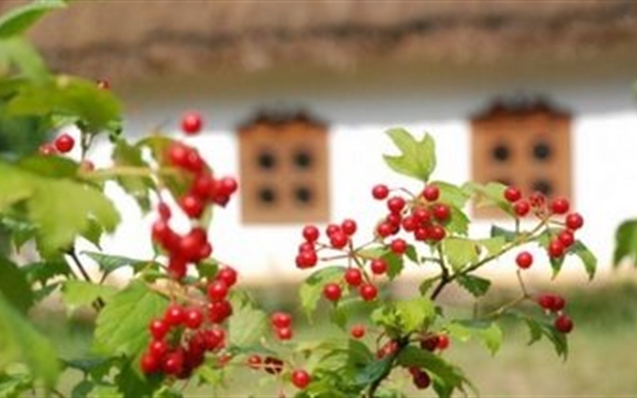 Готові пройти тест і перевірити свої знання? 