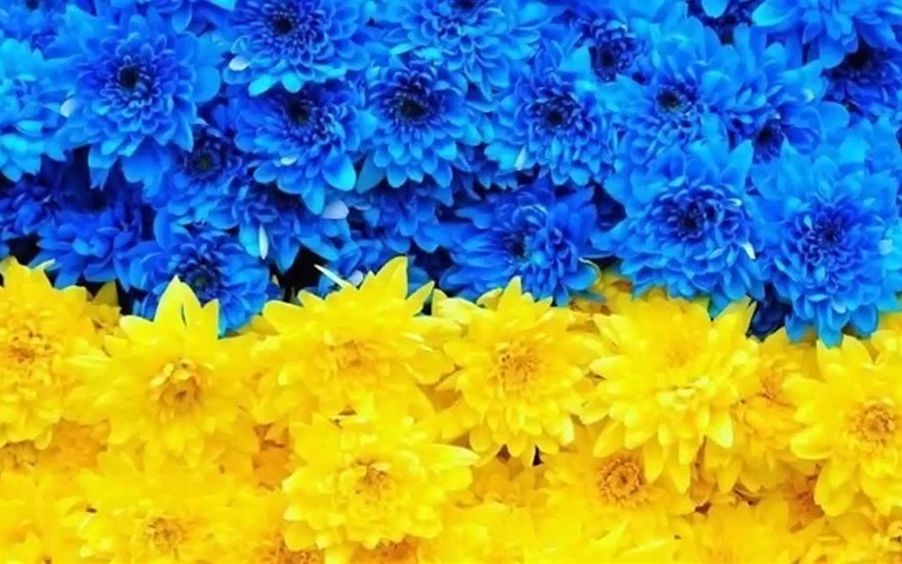 Готові пройти тест і перевірити свої знання? 