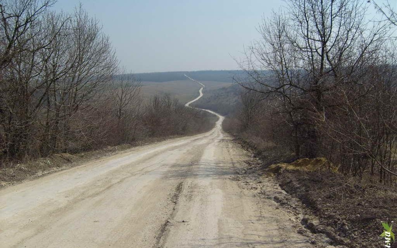 Тест: 10 діалектизмів, які кременчани кажуть щодня