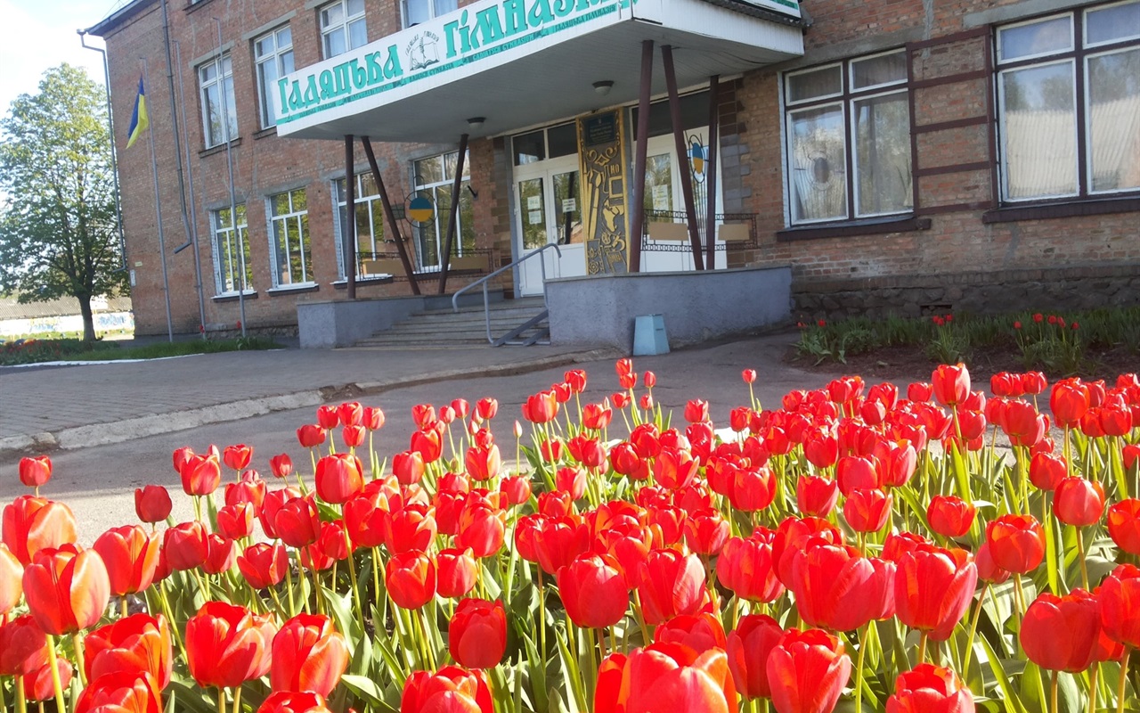 Тест-гра: відгадай, що дійсно сталося у Гадячі в 2019 році