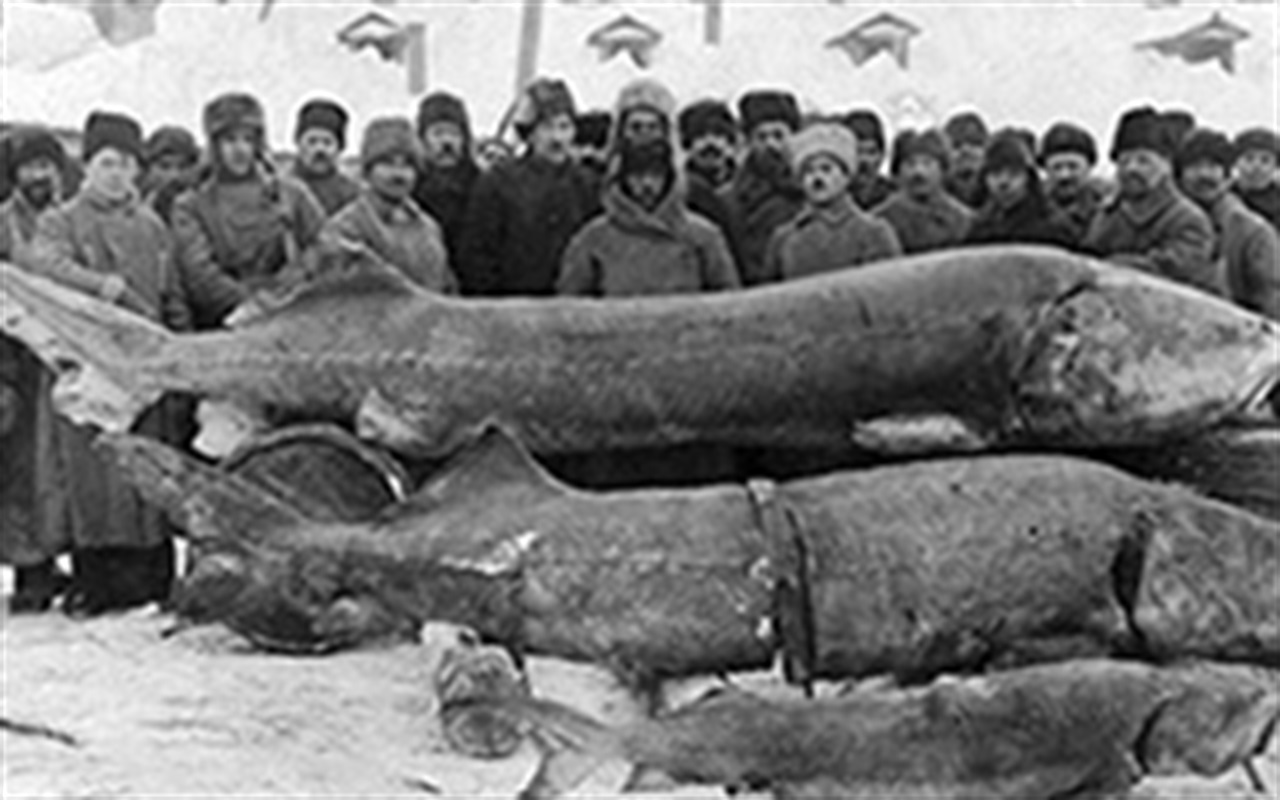 Рыбаки и Бердянск