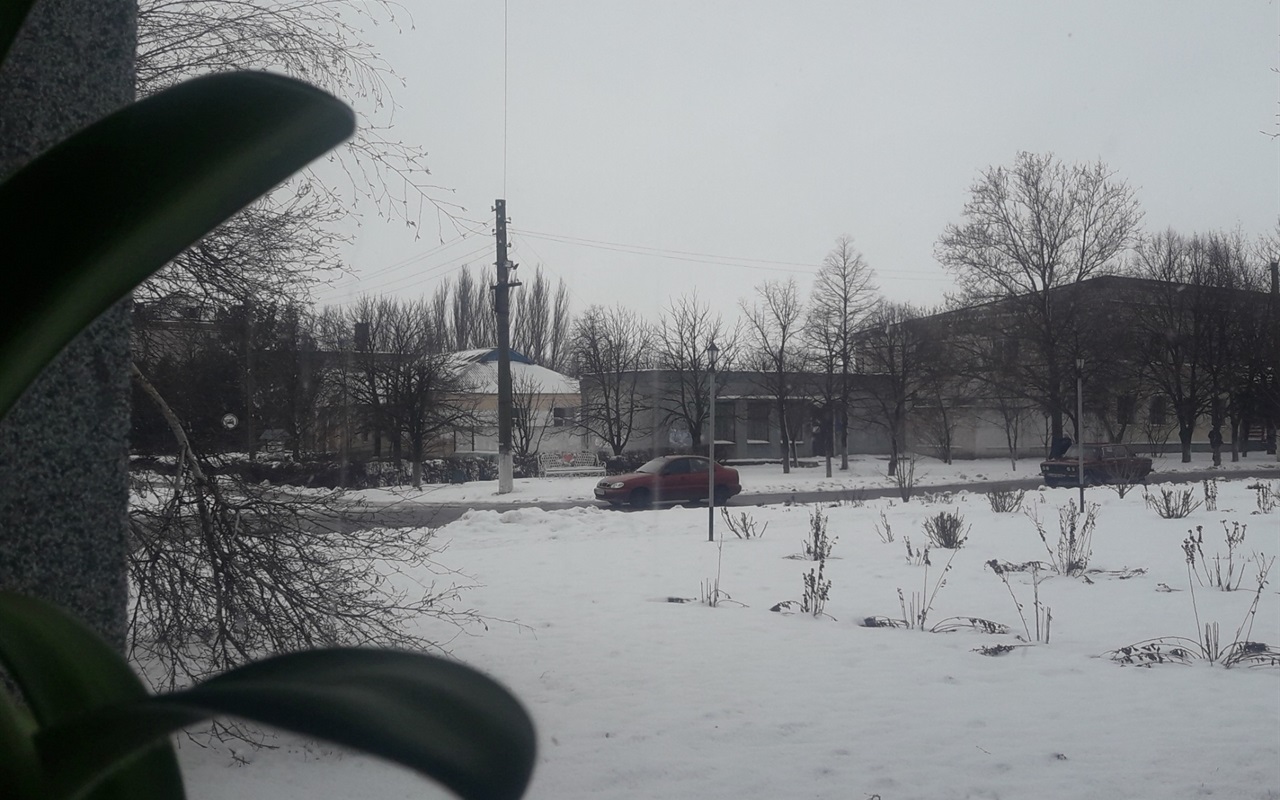 Впізнай з вікна якого приміщення в Нижніх Сірогозах зробили фото 