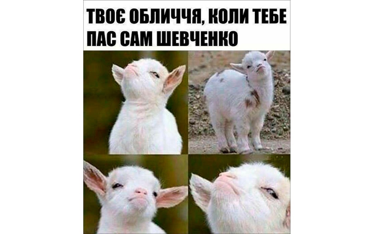 Чи складеш ти ЗНО з української мови та літератури?
