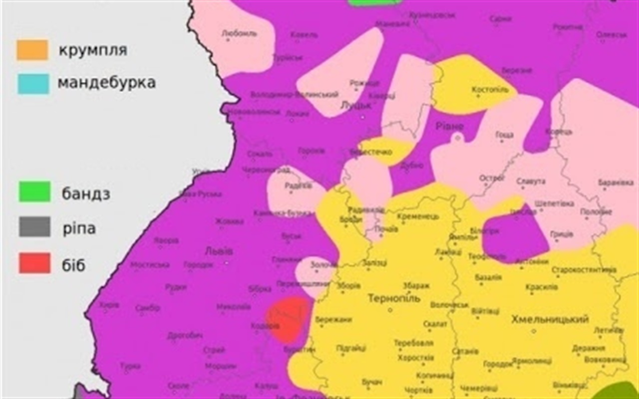 Вгадайте, з яких регіонів походять традиції та що означають слова