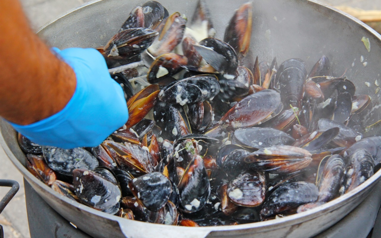 Знаете ли вы моллюсков Азовского моря?