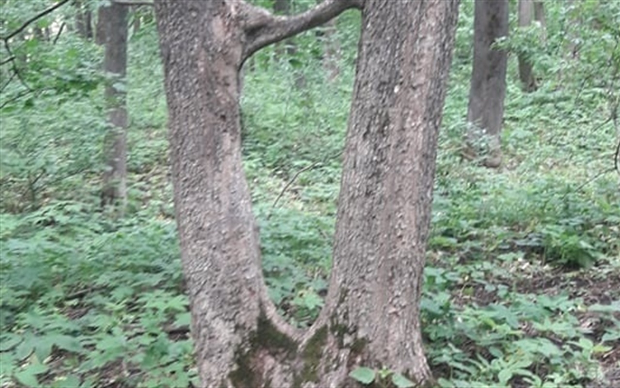 Де в районі можна зробити унікальне фото чи відпочити на природі?