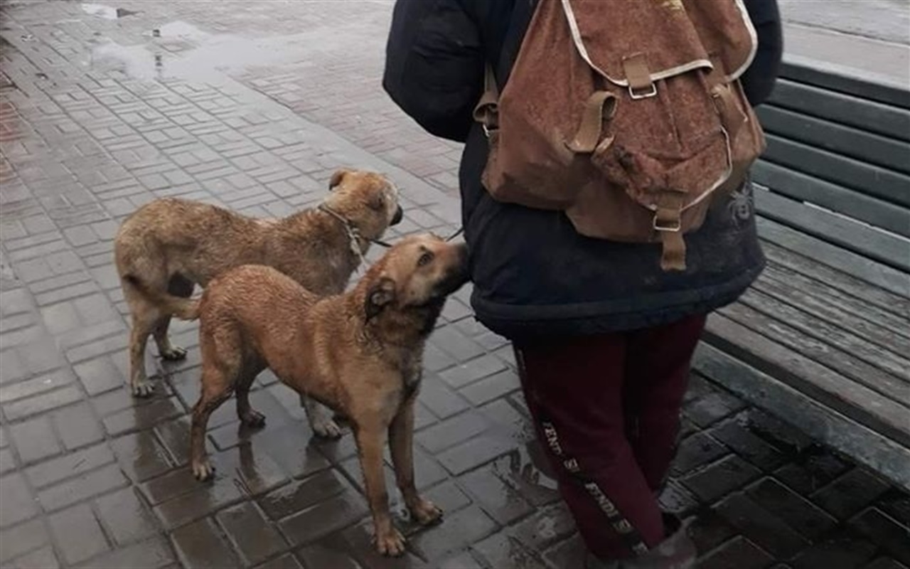 Правда чи фейк: вгадай, чи дійсно це сталося у Лозовій?