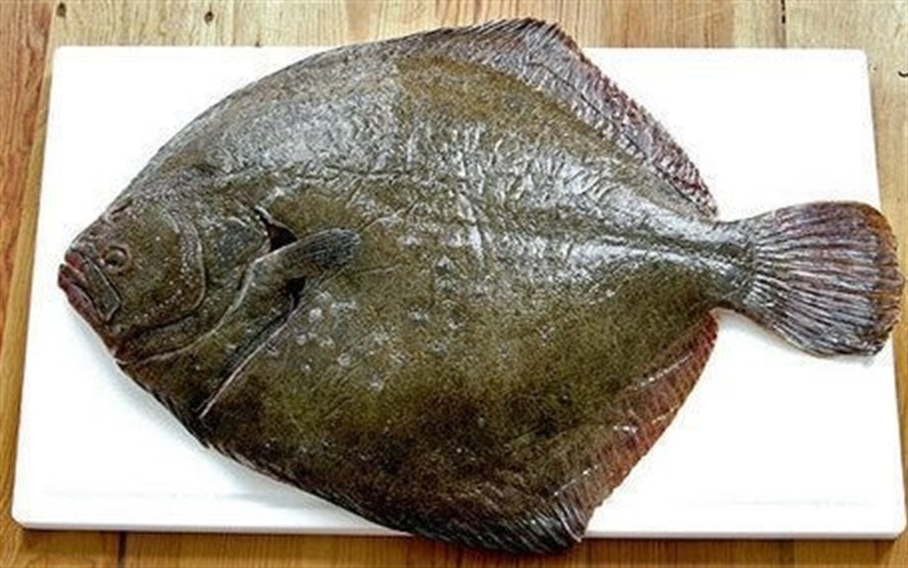 Знаете ли вы рыб Азовского моря?